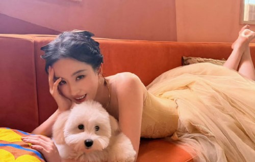 刘亦菲长期坚持流浪动物救助对她的公众形象有何影响？