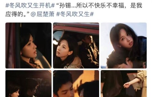 陈都灵和蒋欣在新剧中饰演什么关系的母女？
