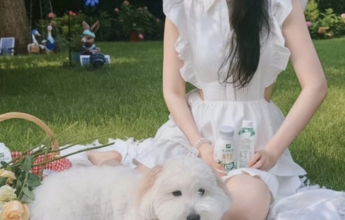 刘亦菲晒草坪照，穿露背白裙光脚丫好纯美，白到发光、像18岁少女