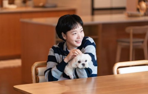 《柔美的细胞小将》第3季新CP开局就心动暴走　金高银点名最爱一桥段