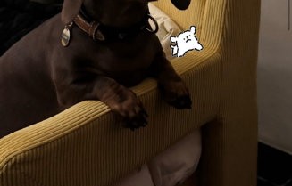 赵露思解释型幽默：一句‘那就是骂我一个人呗’为何笑翻全场？