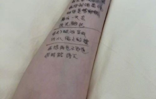 对于李小冉用胳膊记歌词这件事，网友的主要评价有哪些？|乘风2026|纹身|小抄|舞台|态度