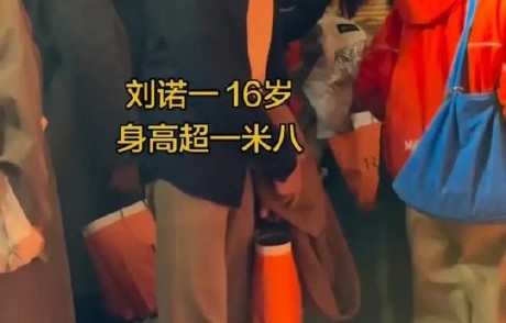 刘烨和诺一在《爸爸去哪儿》还有哪些经典片段？