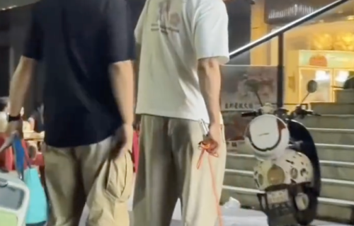 “大长腿遛小短腿”！黄景瑜云南收养梗犬“夏天” 杜宾犬“火锅”被调侃留守