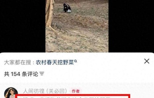 网友声称看见张艺谋独自在公园挖野菜，画面曝光，评论区笑不活了