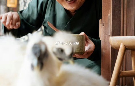 秦焰因什么疾病去世的？