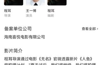 黄多多什么时候会推出正式影视作品？|汤唯|程耳|人·鱼|国家电影局|王一博