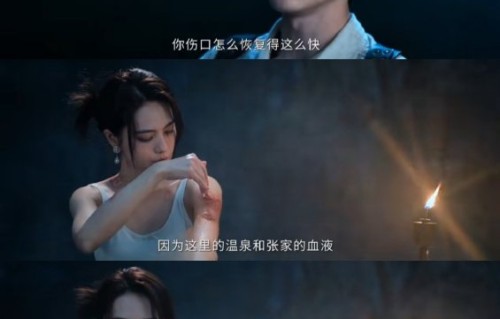 观众为什么称张新成为《南部档案》中的“天选张家人”？