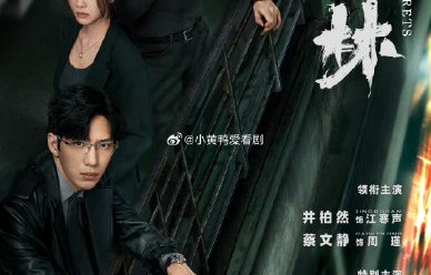 《钢铁森林》对原著小说《钢铁森林》做了哪些关键改编？|井柏然|蔡文静|刑侦剧|周瑾|刑侦