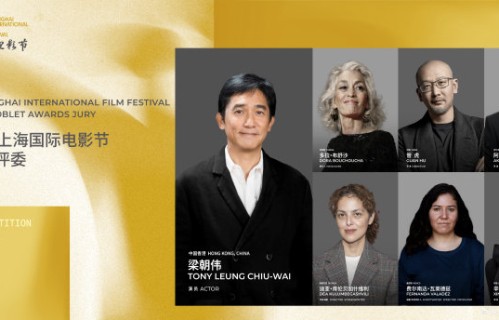 上海国际电影节评选评委的标准是什么？辛芷蕾的哪些特质符合了这些标准？