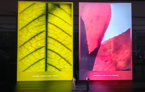 易烊千玺分享随手拍风景照|景色