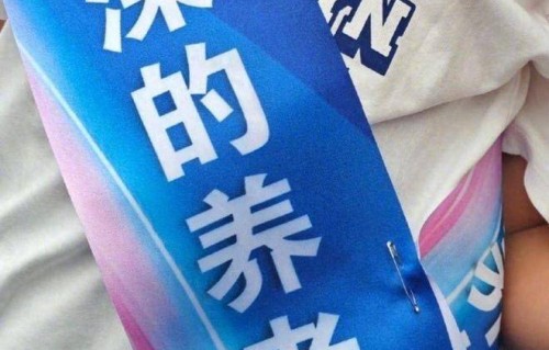周深的养老保险是什么梗？原来背后藏着这么多门道！