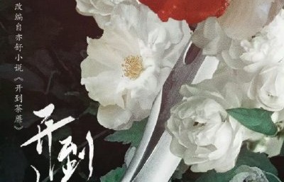 白鹿《开到荼蘼》复仇大女主，厂二代逆袭