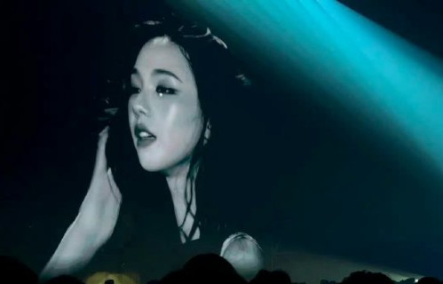 白鹿的蛇塑标签为什么引发柳智敏粉丝不满？