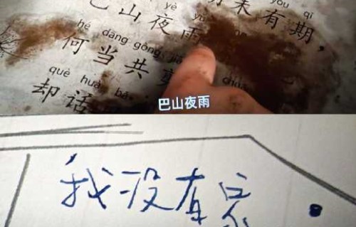 《去你的岛》主题曲《来我的岛》演唱者是谁？