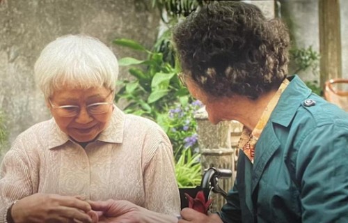 回本超90倍!《给阿嬷的情书》凭什么爆红全网