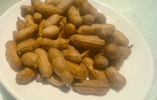 周润发等其他港星在健康生活方式上，有哪些值得学习的榜样故事？