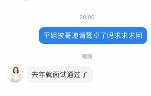 鹭卓为何错失披荆斩棘2026和个人音乐节？