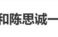 佟丽娅儿子朵朵机场照曝光,网友:简直是迷你版“陈思诚”|大湾区晚会|陈奕橦|高舒乔|基因|遗传