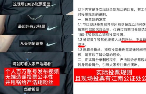 新说唱节目投票规则如何保证投票结果的真实性？