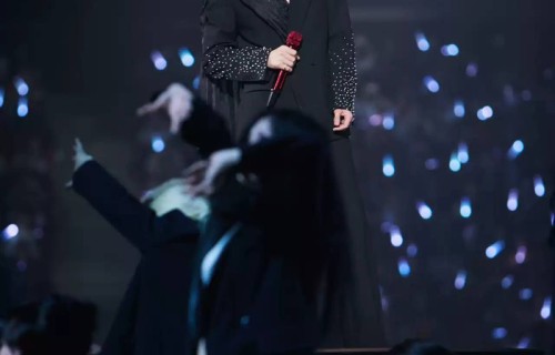 【上海】陈楚生“荒芜之境”2026巡回演唱会（河马票务）