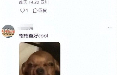 曹格发照为父亲庆生，老爸大花臂喝冰镇啤酒，头发花白是酷老头