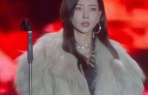 歌手于文文商演晕倒送医 低温劳累致不适