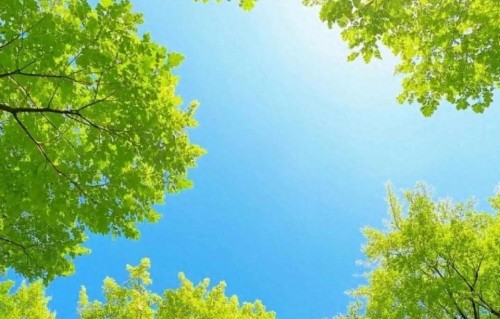 人性最大的恶：不怕你穷，就怕你突然过得很好