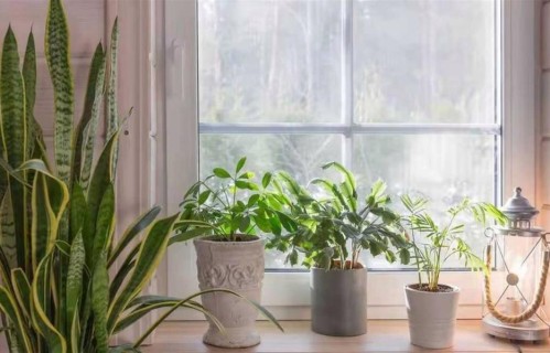 中年男女关系：45，55岁女人别轻碰！男人一旦招惹，往往后悔太晚