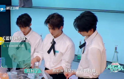 《风华合伙人》明明是宝藏综艺，为啥就是不火？来分析一下它的优点和缺点！