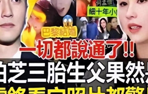 看到谢贤把九成遗产交给张柏芝，才明白他的深意，王菲输的不冤
