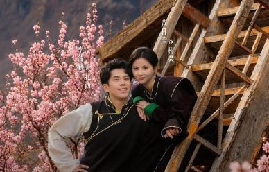 《去桃花盛开的地方2》去哪里可以观看？
