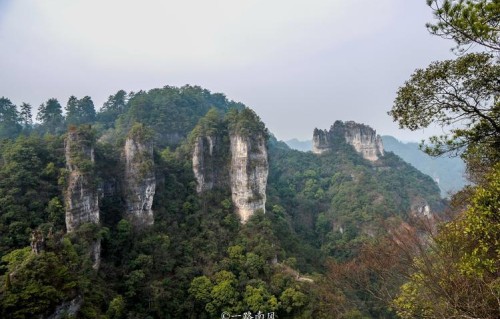 男人从不主动联系你，但每条都回，只有1个真相