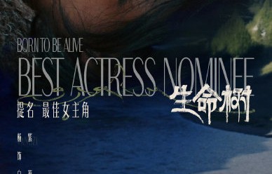 杨紫创下连续三年四提白玉兰视后纪录，她获奖的概率有多大？