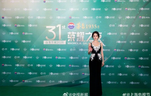 杨幂这次能拿到白玉兰最佳女主角吗？