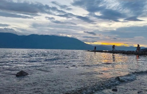 给自己一句话，不内耗、不将就，活成自己的光