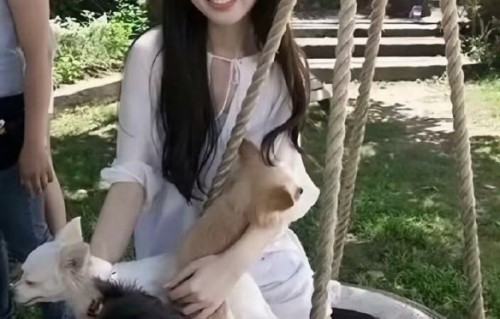 郭碧婷是自愿为向佐生孩子的吗？