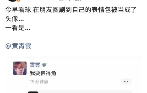 网友对两人互用表情包互怼的评价是什么？