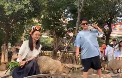 佟丽娅带儿子朵朵游玩郑州银基动物王国体验了哪些项目？