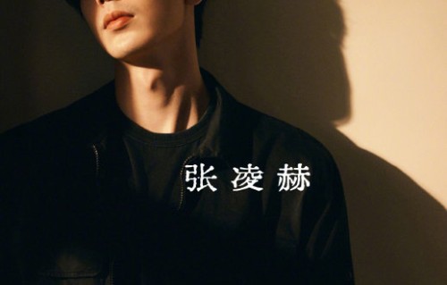 张凌赫的理工科背景如何影响他对于演员和偶像身份的看法？|非科班演员|宁安如梦|苍兰诀|虎鹤妖师录|理性