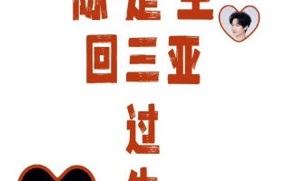陈楚生生日场：三亚海陆空全城“痛城”应援太排面