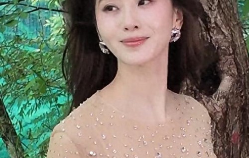 一场Vogue红毯，刘诗诗在内娱江湖地位人情冷暖，展现得淋漓尽致|vogue|刘亦菲|刘诗诗|女明星|红毯|若曦