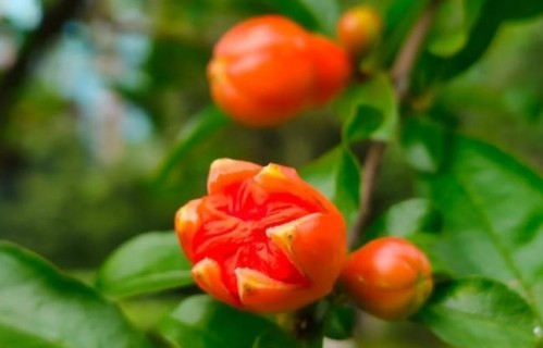 新型夫妻生活正在流行：表面上很和谐，实际上太松散，难长久