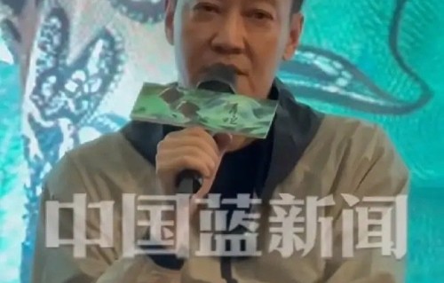朱媛媛离世后辛柏青的现状如何？
