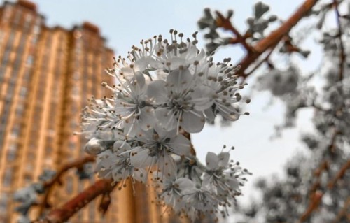 两性关系：女人过了63岁，永远不要在男人面前，说这3句话