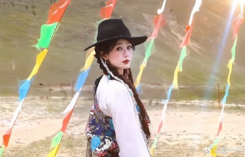 杨幂杨紫两人提名的作品分别是什么？
