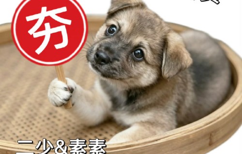 张凌赫在《这一秒过火》预告中以本名‘张家玮’出现，具体原因是什么？