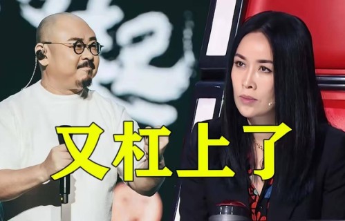 那英也没想到，九城巡演刚官宣，评论区却成了刀郎的声援现场