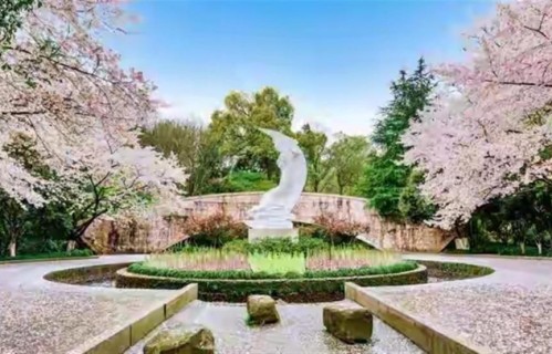 65～75岁这十年，惜命的方式，不是锻炼，是做好这6点