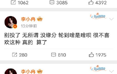 李小冉反对粉丝花钱投票的举动引发什么争议？